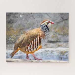 Wild Partridge Jigsaw Puzzle