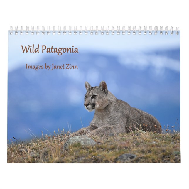 Wild Patagonia: Pumas and wildlife Calendar (Cover)