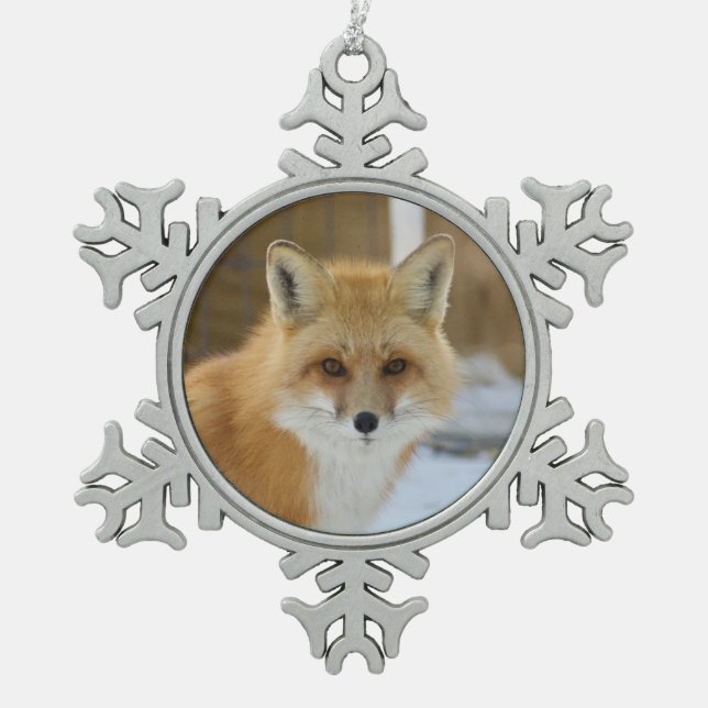 Wild Paws Alfalfa Snowflake Framed Ornament (Front)