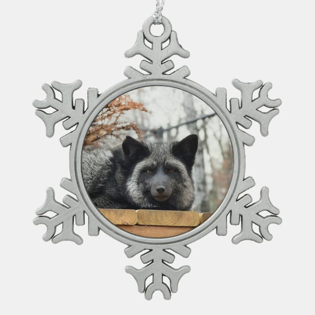 Wild Paws Aurora Snowflake Framed Ornament (Front)