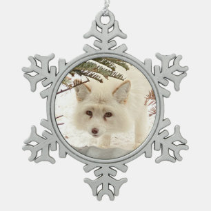 Wild Paws Coconut Snowflake Framed Ornament
