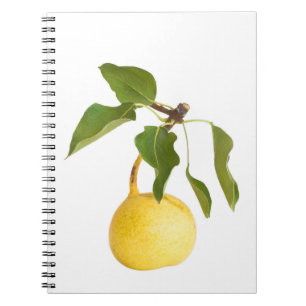 Wild pear notebook