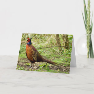 Wild Pheasant Card