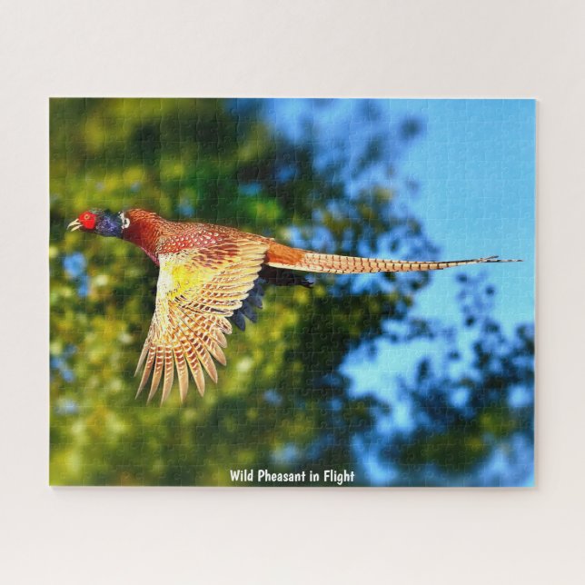 Wild Pheasant Jigsaw Puzzle (Horizontal)