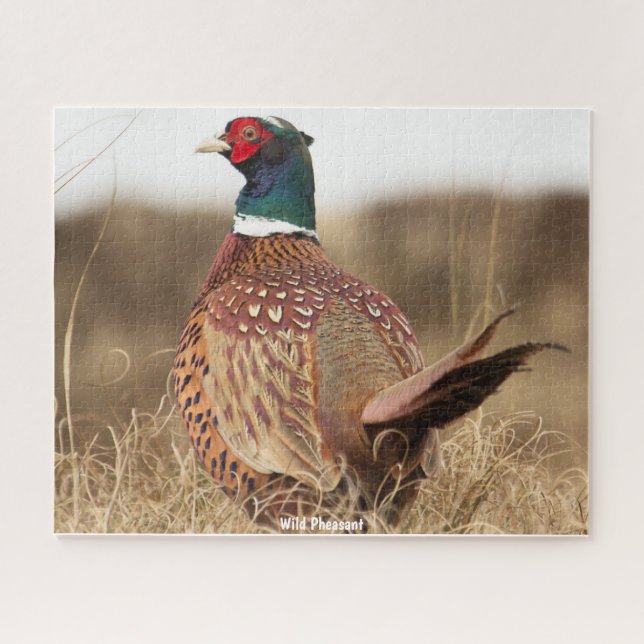 Wild Pheasant Jigsaw Puzzle (Horizontal)