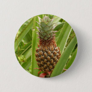 Wild Pineapple Tropical Fruit in Nature 2 Inch Round Button