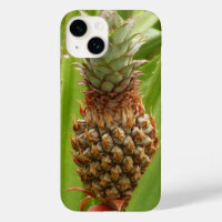 Wild Pineapple Tropical Fruit in Nature