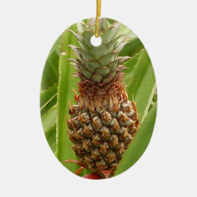 Wild Pineapple Tropical Fruit in Nature Ceramic Ornament (Front)