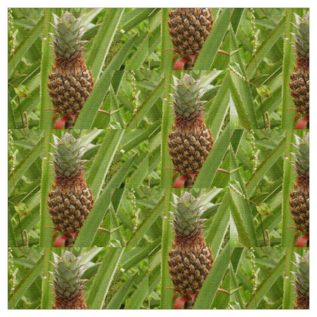 Wild Pineapple Tropical Fruit in Nature Fabric (Swatch)