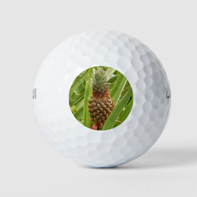 Wild Pineapple Tropical Fruit in Nature Golf Balls (Front)