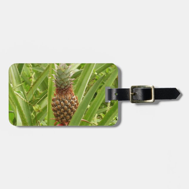 Wild Pineapple Tropical Fruit in Nature Luggage Tag (Front Horizontal)
