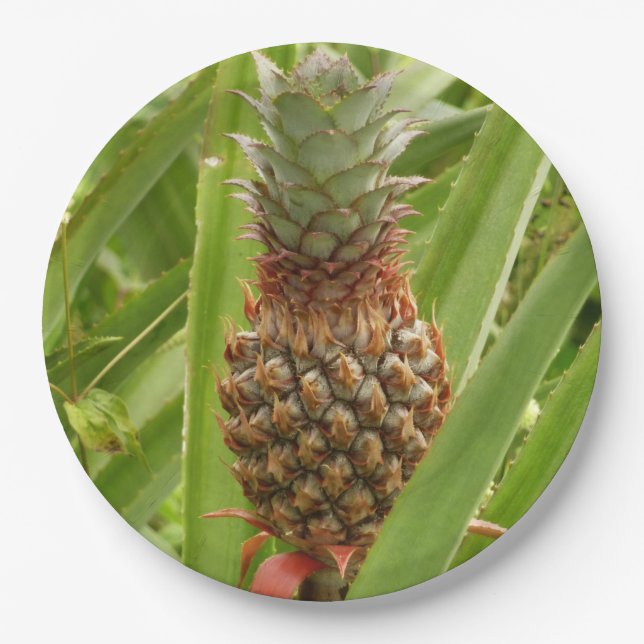 Wild Pineapple Tropical Fruit in Nature Paper Plate (Front)