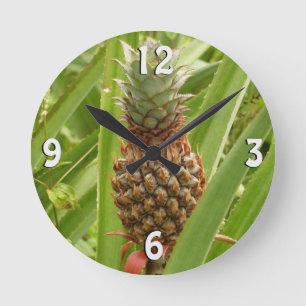 Wild Pineapple Tropical Fruit in Nature Round Clock