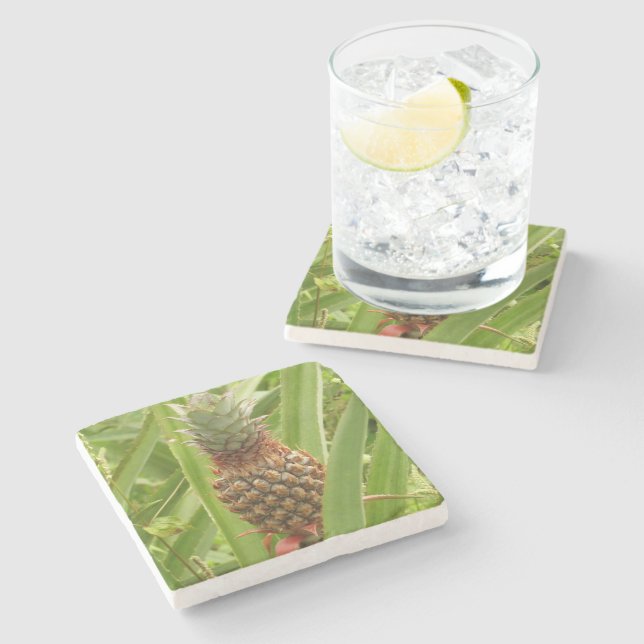 Wild Pineapple Tropical Fruit in Nature Stone Coaster (Side)