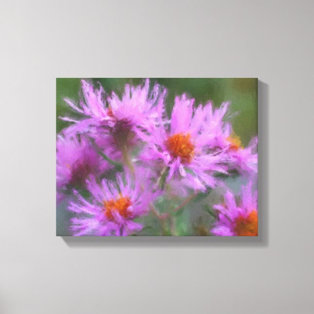 Wild Pink Asters Flower Art Canvas Print (Front)