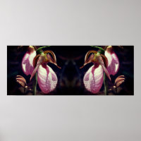 Wild Pink Lady Slipper Orchid Pair Mirror
