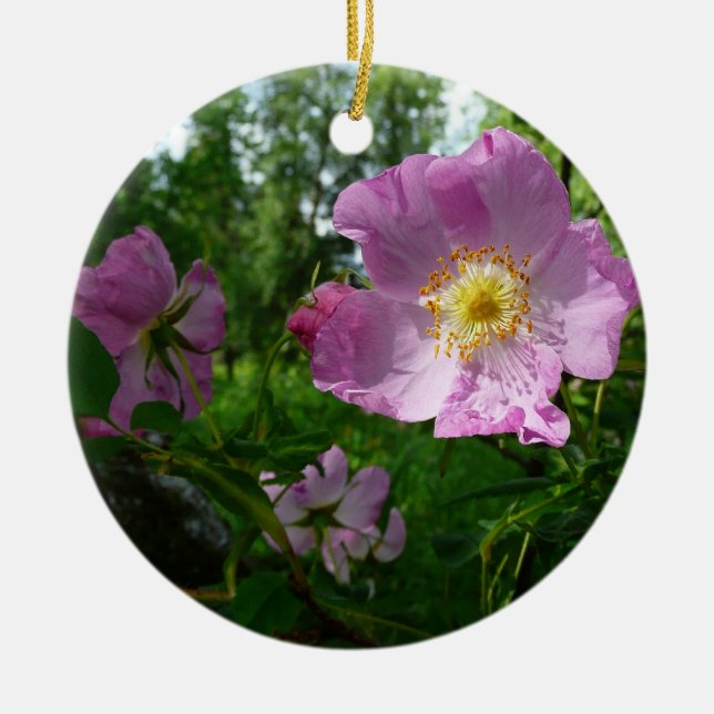Wild Pink Roses in Alaska Ceramic Ornament (Front)