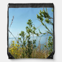 Wild plants and flowers at Grand Teton National Pa