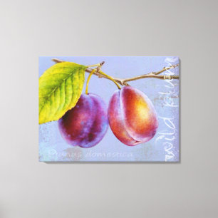 Wild plum - Prunus domestica canvas art mauve