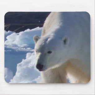Wild Polar bear in Svalbard, (Spitsbergen) Mouse Pad