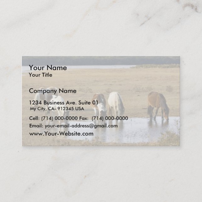 Wild pony business card (Front)