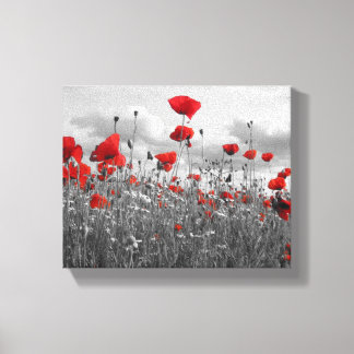 Wild Poppies in Black, White and Red Canvas Print