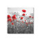 Wild Poppies in Black, White and Red
