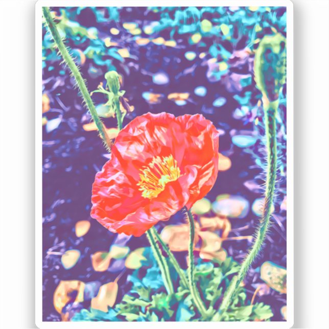 Wild Poppies Vinyl Sticker (Front)