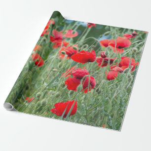 Wild poppies wrapping paper