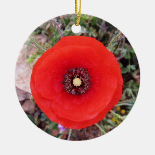 Wild Poppy Ceramic Ornament