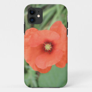 Wild Poppy Flower iPhone Case