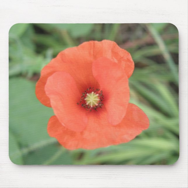 Wild Poppy Flower Mousepad (Front)
