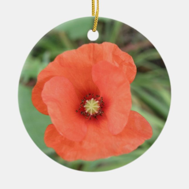 Wild Poppy Flower Ornaments (Front)