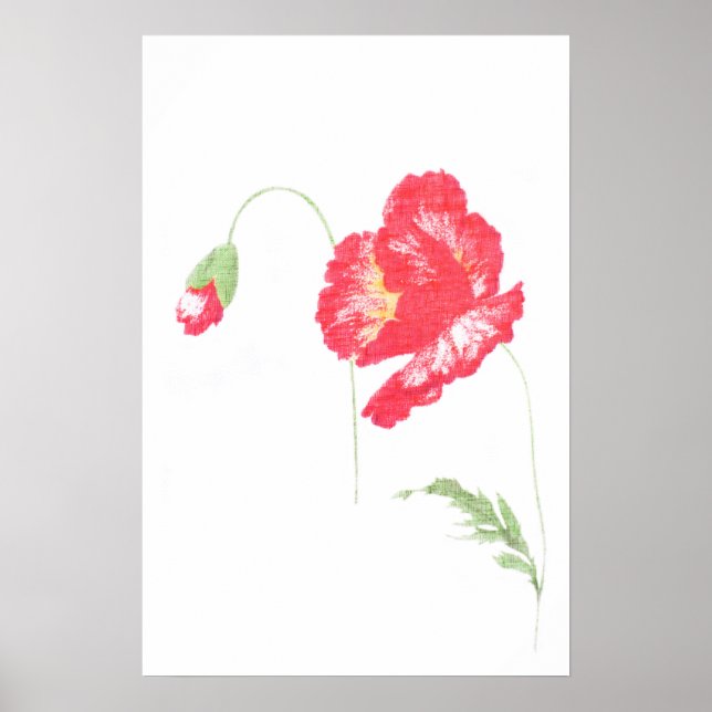 Wild poppy flower poster (Front)