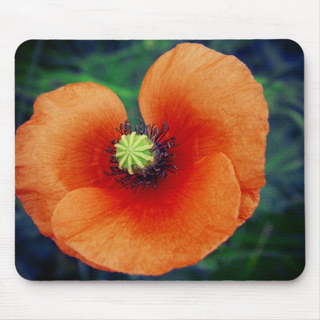 Wild Poppy Macro Photography Mousepad (Front)