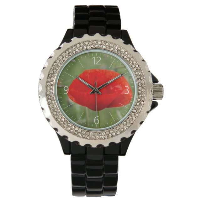 Wild poppy watch (Front)