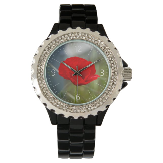Wild poppy watch (Front)