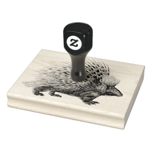 Wild Porcupine Scrapbooking Crafts Rubber Stamp