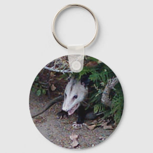 Wild Possum Keychain