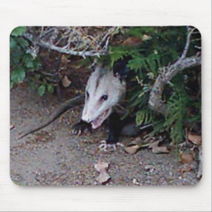 Wild Possum Mouse Pad