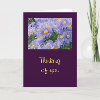 Wild Purple Asters "Thinking of You" Greeting Card