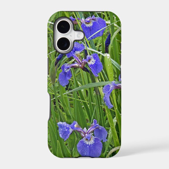 Wild Purple Iris (Back)