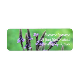 Wild Purple Vervain Flower Address
