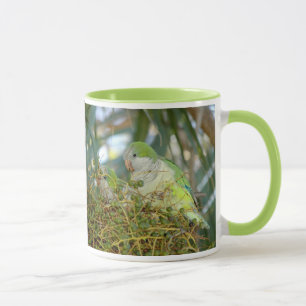 Wild quaker parrots Mug