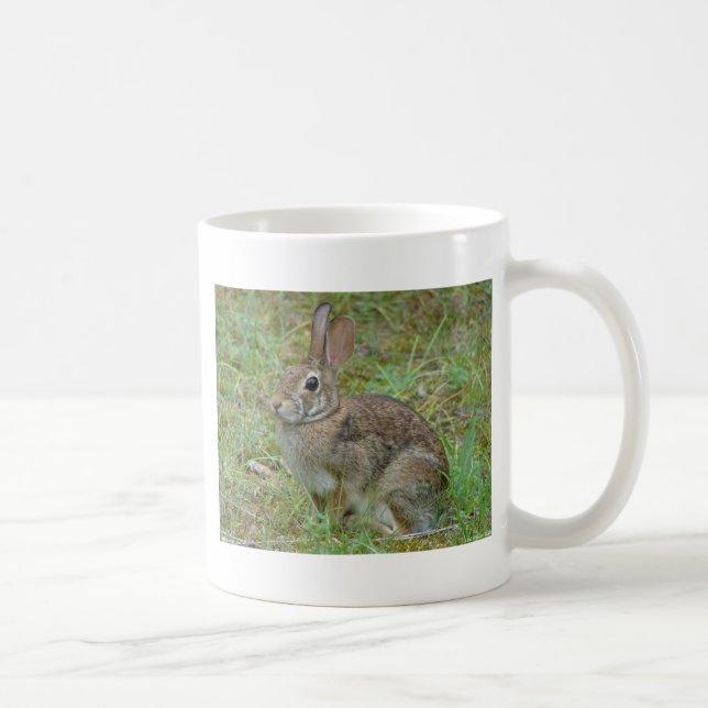Wild Rabbit Eastern Cottontail II Apparel & Gifts Coffee Mug (Right)