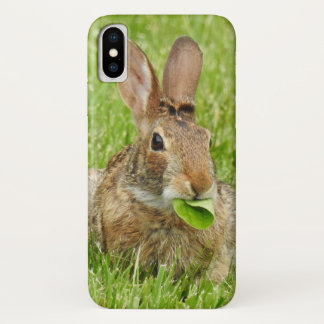 Wild Rabbit Eating Leaves Case-Mate iPhone Case