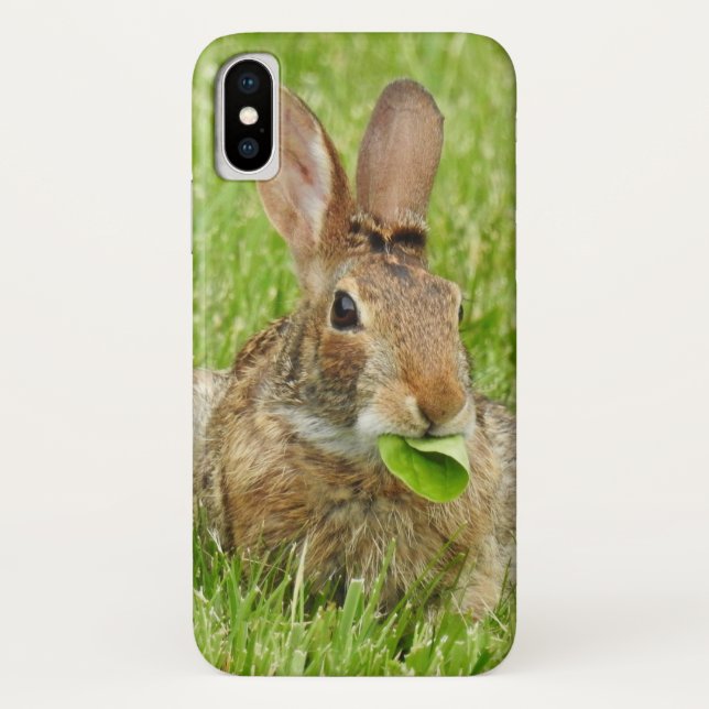 Wild Rabbit Eating Leaves Case-Mate iPhone Case (Back)