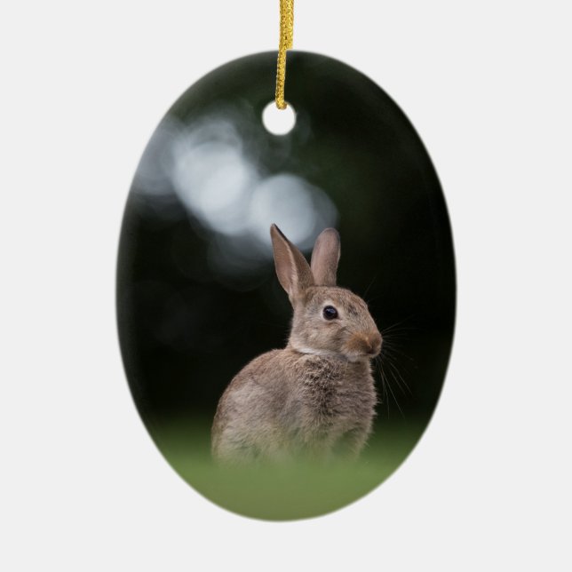 Wild Rabbit Nature Photo Ceramic Ornament (Front)