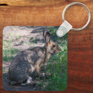 Wild Rabbit, Quiet Nature Portrait Keychain
