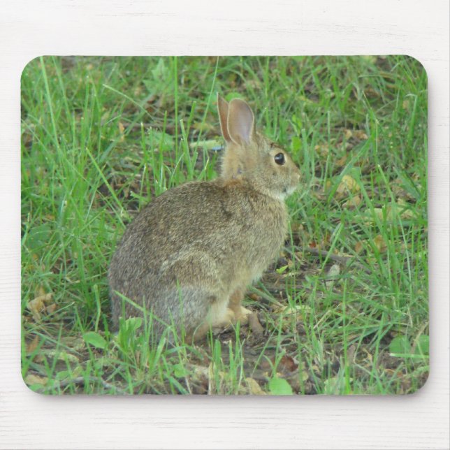 Wild  Rabbit Resting Mouse Pad (Front)